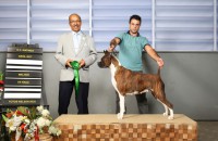 /album/pandora-s-s-barun-sallenrod/pandora-ipatinga-2017-jpg/